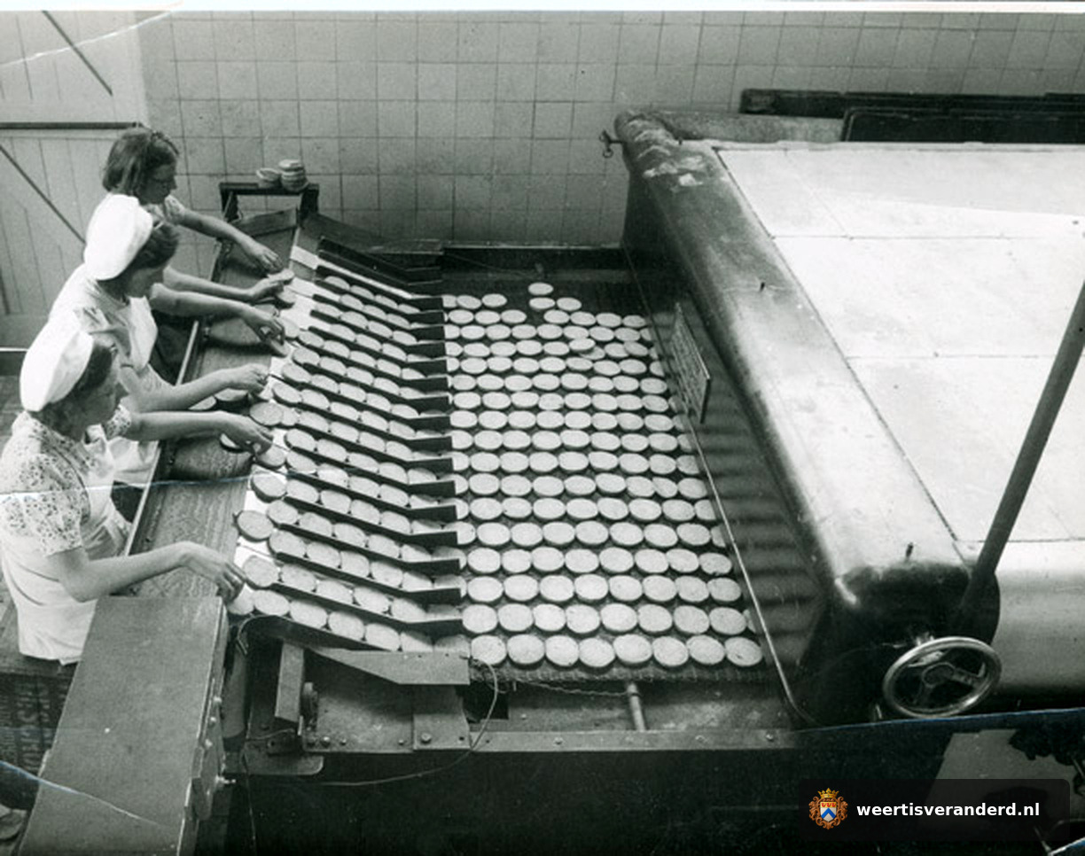 Lange productielijn met beschuiten