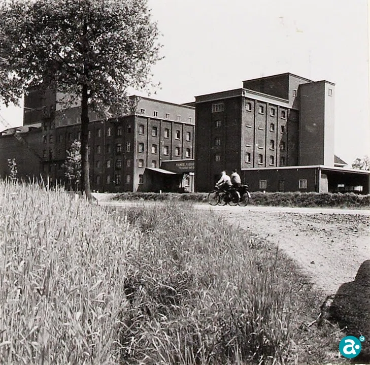 Meelfabriek