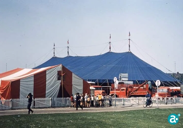 Circus Rancy