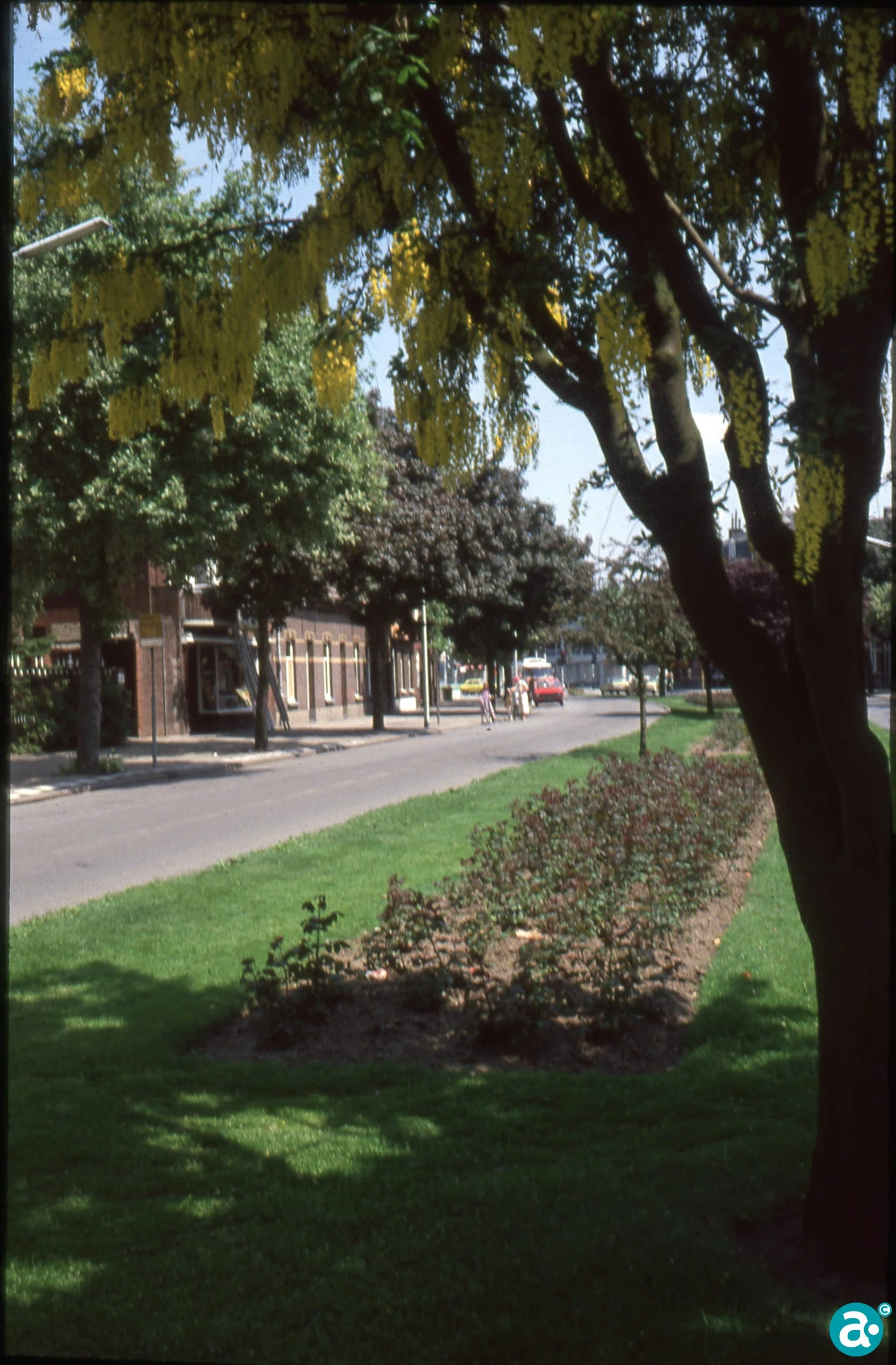 Walhuisjes Emmasingel