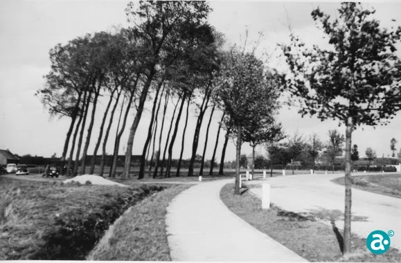 Wonderbare Gebeurtenis te Weert, de omgeving van de Maaseikerweg rondom de "Heilige Boom" | GAW CCT137