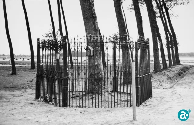 Podcast: Het wonder van Weert, dat geen wonder mocht zijn