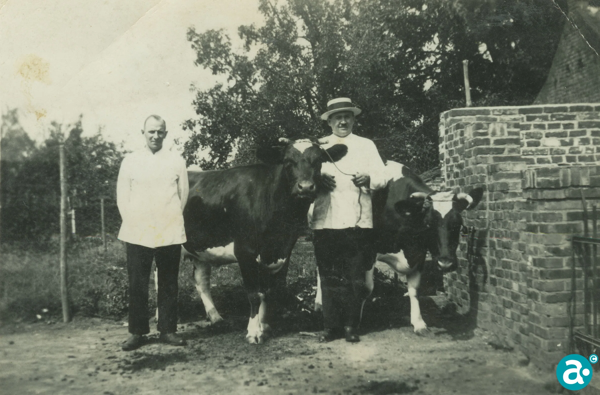 1934